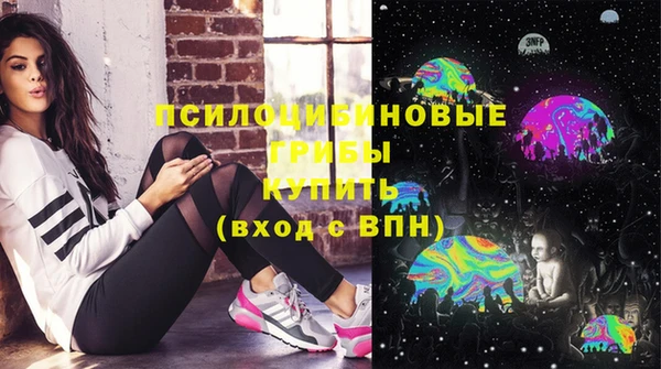 не бодяженный Дмитров