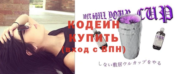 стафф Новодвинск