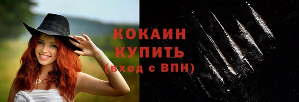 ешки Новозыбков