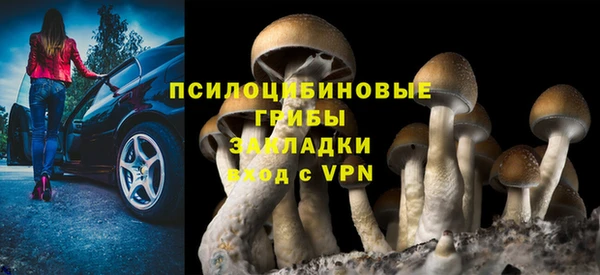 a pvp Дмитровск
