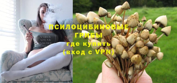не бодяженный Дмитров