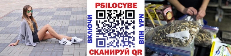 Галлюциногенные грибы MAGIC MUSHROOMS что такое Новоржев